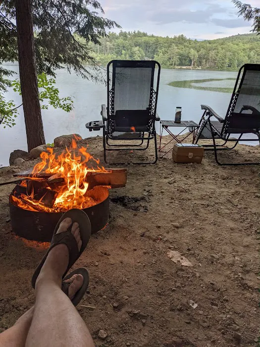 Terrace Pines Camping Area (A Modern America Campground) Picture 3