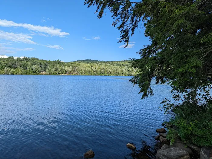 Terrace Pines Camping Area (A Modern America Campground) Picture 2
