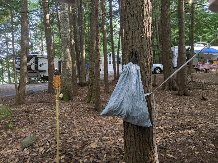 Terrace Pines Camping Area (A Modern America Campground) Picture 5