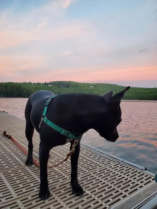 Terrace Pines Camping Area (A Modern America Campground) Picture 8