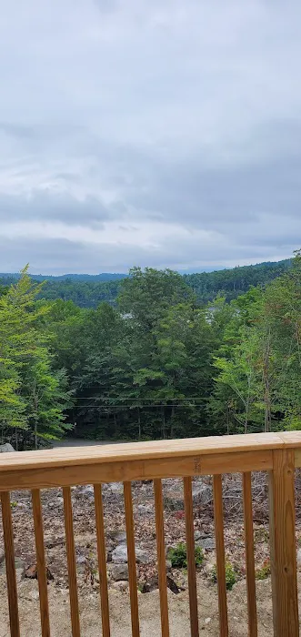 Terrace Pines Camping Area (A Modern America Campground) Picture 6