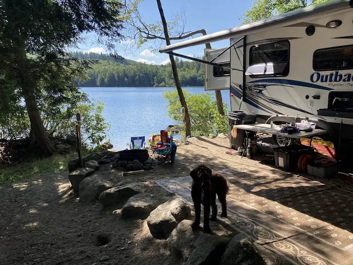 Terrace Pines Camping Area (A Modern America Campground) Picture 9