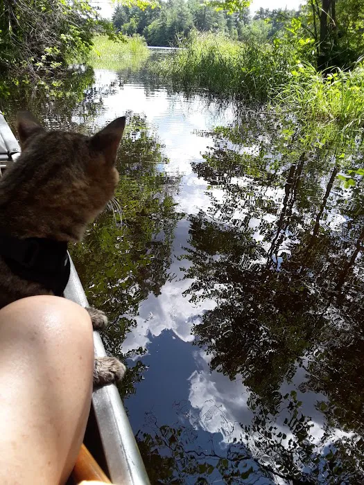 Potter’s Place Picture 5