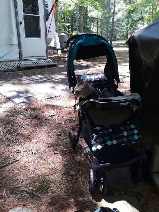 Potter’s Place Picture 9