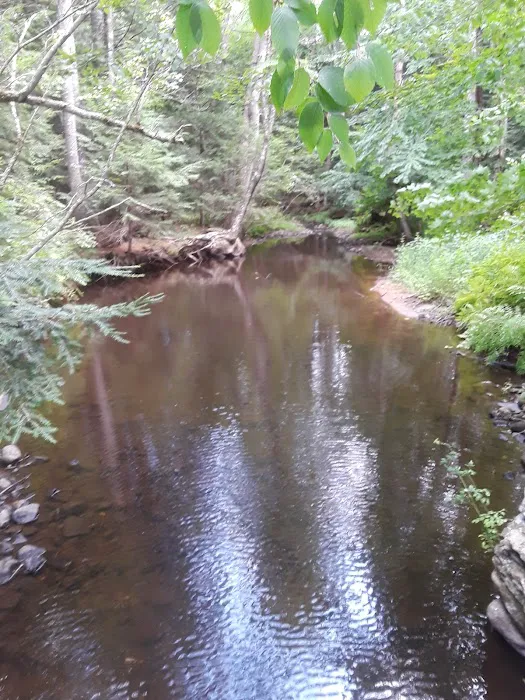 Potter’s Place Picture 6