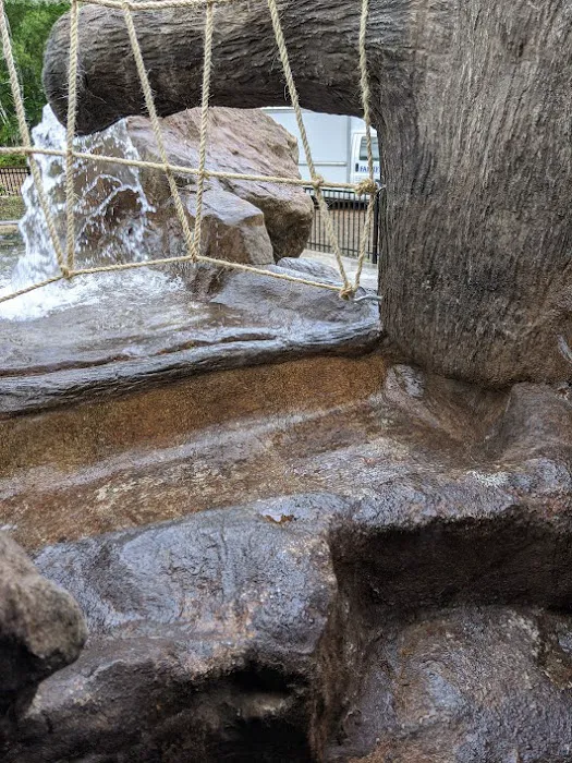 Cole's Mine RV Resort and Campground Picture 3