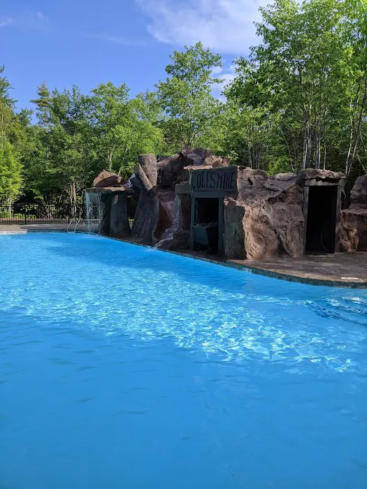 Cole's Mine RV Resort and Campground Picture 8