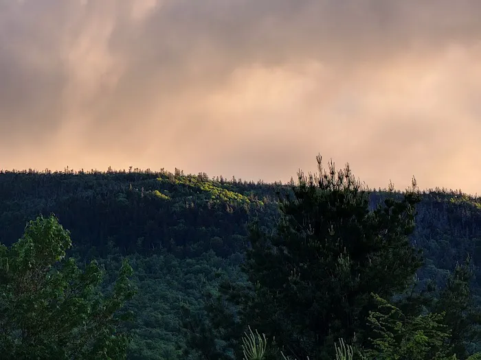 Osceola Vista Campground Picture 5