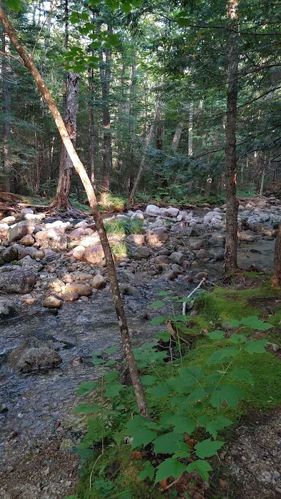 Osceola Vista Campground Picture 4