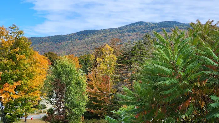 Maple Haven Resort Picture 3