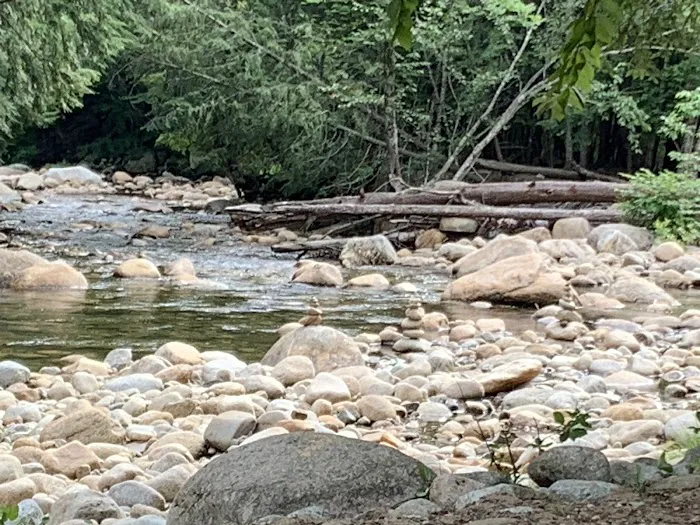 Country Bumpkins Campground and Cabins Picture 2