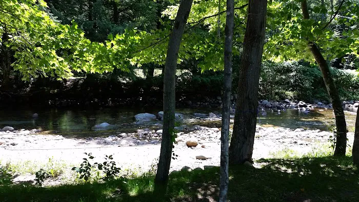 Country Bumpkins Campground and Cabins Picture 5