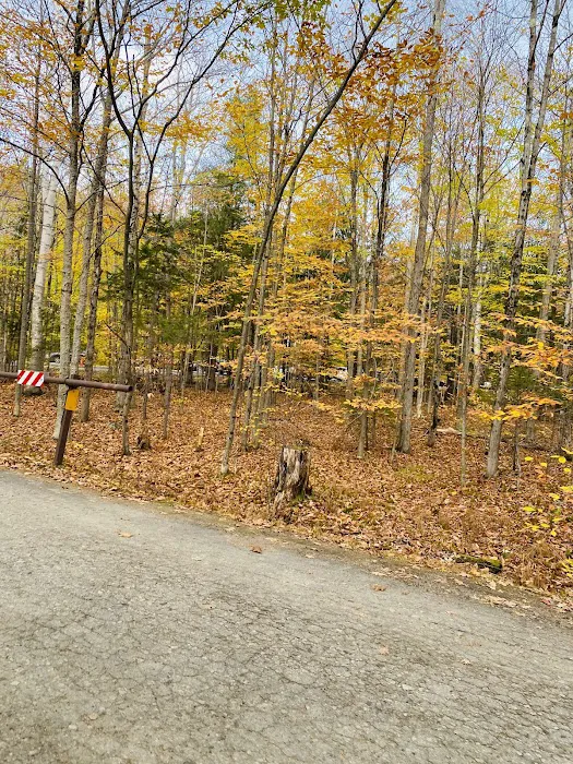 Hancock Campground Picture 7