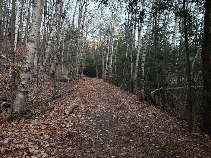 Hancock Campground Picture 3