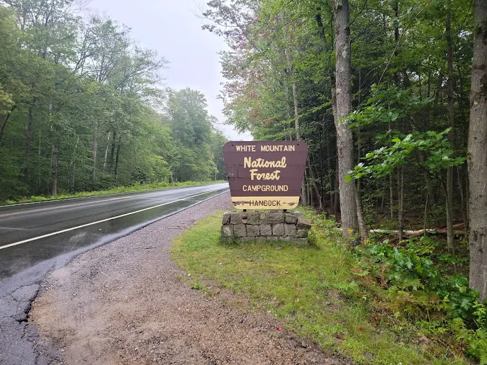 Hancock Campground Picture 2