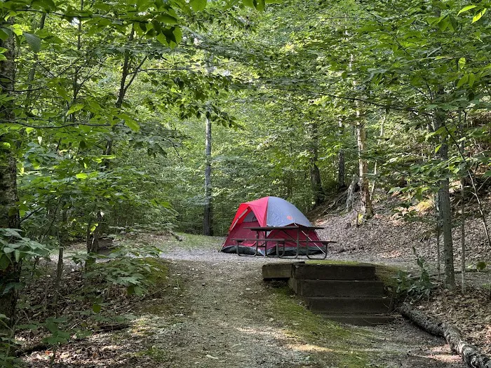 Big Rock Campground Picture 6