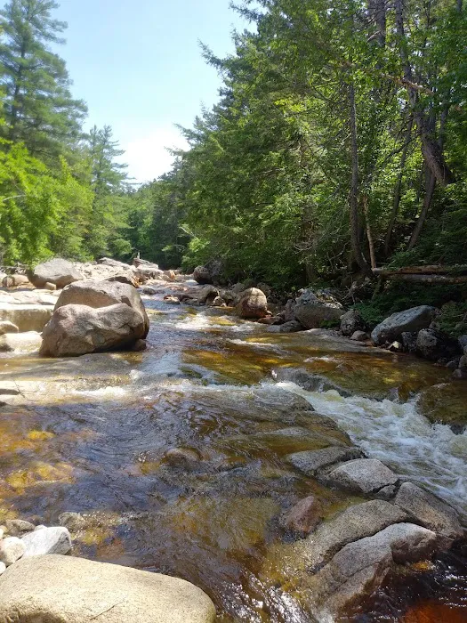 Big Rock Campground Picture 8