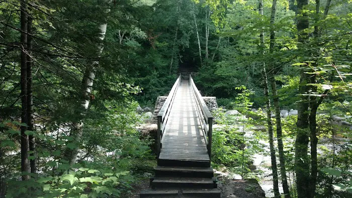 Franconia Brook Tentsite Picture 6