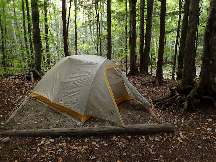 Franconia Brook Tentsite Picture 1
