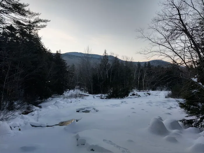 Franconia Brook Tentsite Picture 8