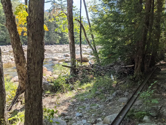 Franconia Brook Tentsite Picture 7