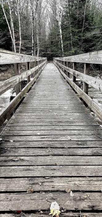 Franconia Brook Tentsite Picture 2