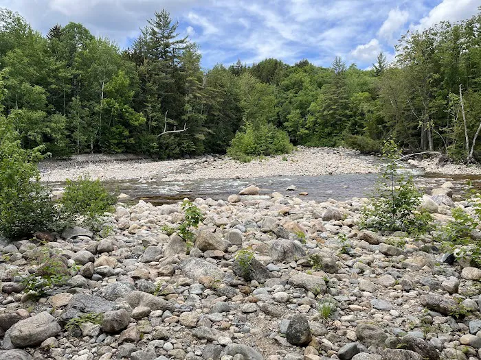 Franconia Brook Tentsite Picture 9