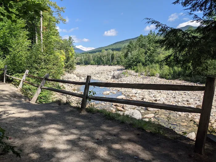 Franconia Brook Tentsite Picture 3