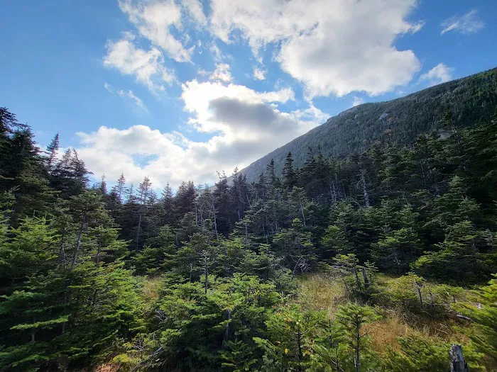 Kinsman Pond Shelter Picture 8