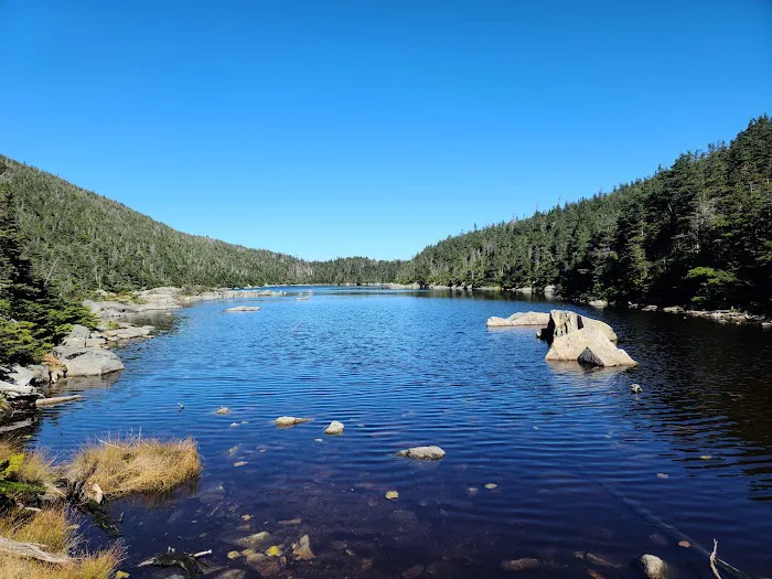 Kinsman Pond Shelter Picture 7
