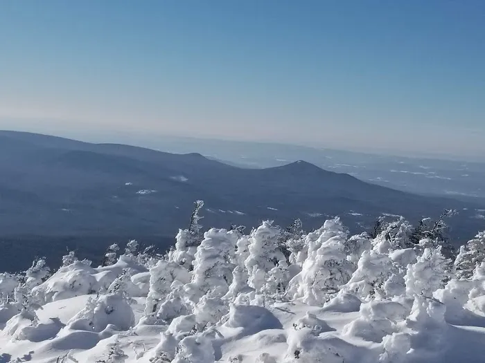 Kinsman Pond Shelter Picture 4