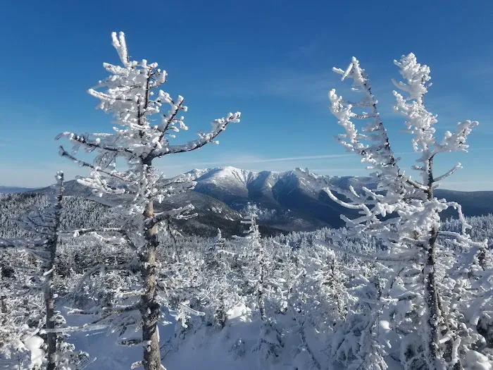 Kinsman Pond Shelter Picture 6