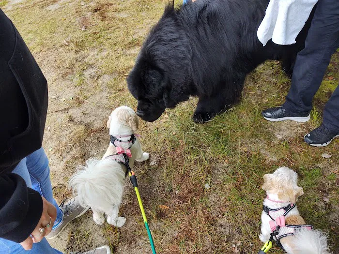 Apple Valley Campground Picture 9