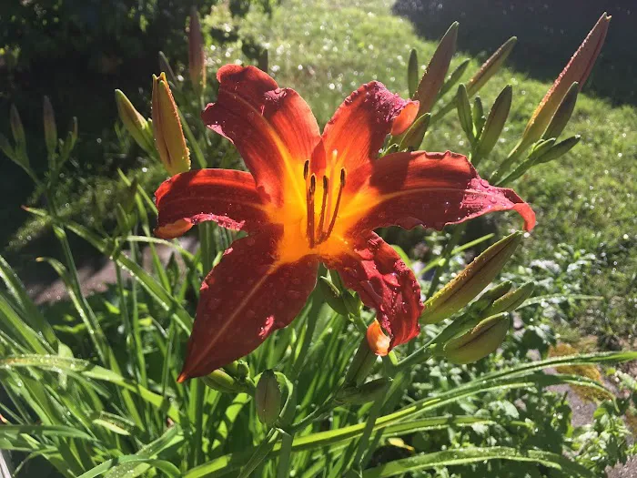 Yellowstone Park Camp Resort Picture 6