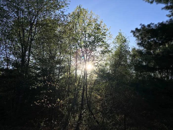 Yellowstone Park Camp Resort Picture 5