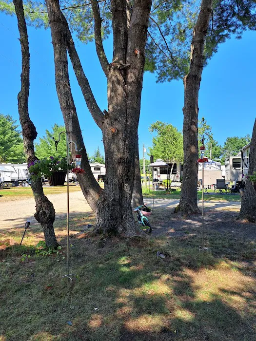 Yellowstone Park Camp Resort Picture 7