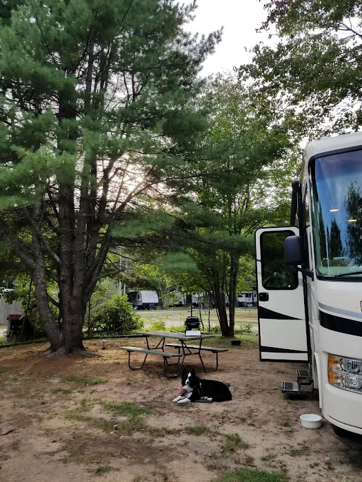 Yellowstone Park Camp Resort Picture 10