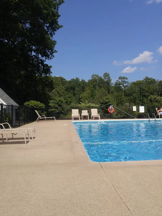 Pinederosa Camping Area Picture 5