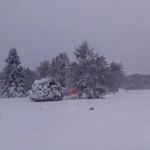 Pinederosa Camping Area