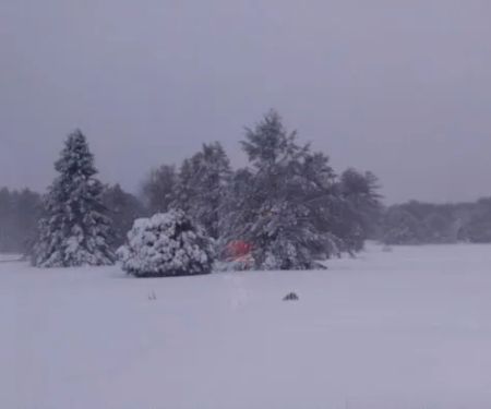 Pinederosa Camping Area