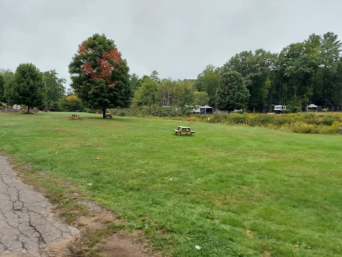 Pinederosa Camping Area Picture 7