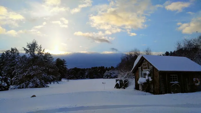 Pinederosa Camping Area Picture 3