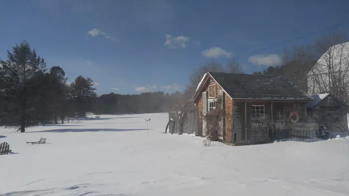 Pinederosa Camping Area Picture 2