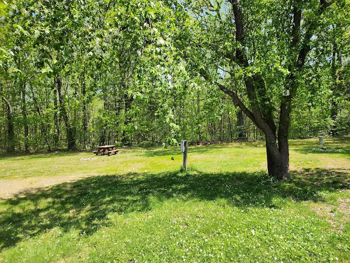 Coastal Woods Campground Picture 4