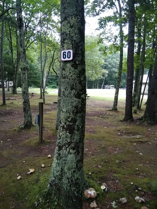 Gregoire's Campground Picture 6