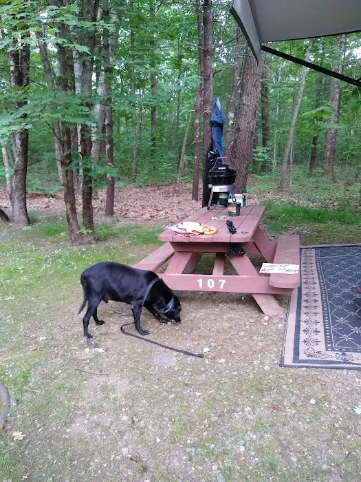 Gregoire's Campground Picture 9