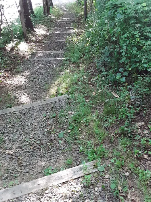 Dunroamin trailer/camping park Picture 4