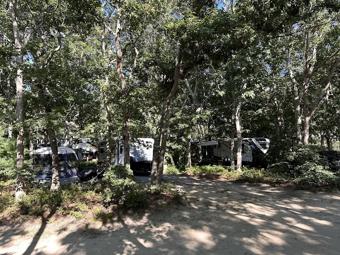 Martha's Vineyard Family Campground Picture 6