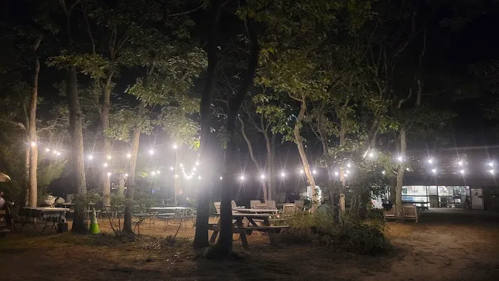 Martha's Vineyard Family Campground Picture 1