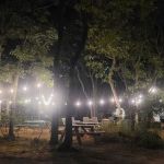 Martha's Vineyard Family Campground